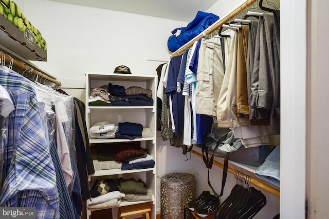 view of walk in closet