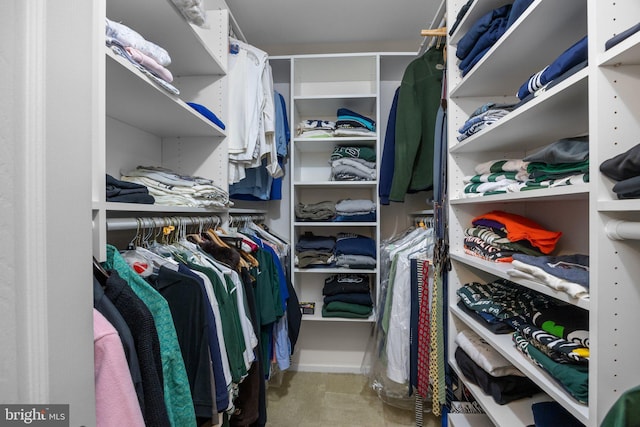 view of walk in closet