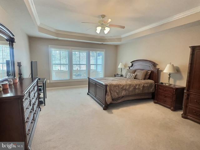 bedroom with ceiling fan, a tray ceiling, crown molding, and light carpet