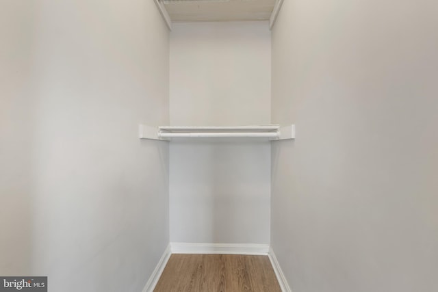 spacious closet featuring wood finished floors