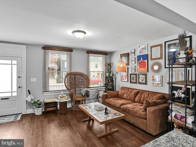 living area with wood finished floors