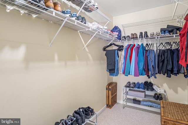 walk in closet featuring carpet flooring