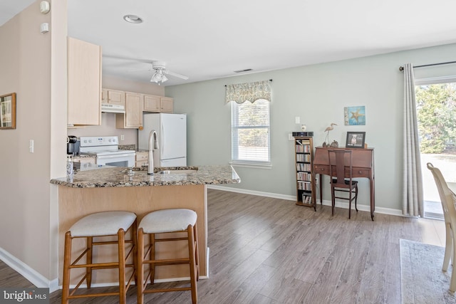 kitchen with white appliances, light wood-style flooring, a peninsula, and a wealth of natural light