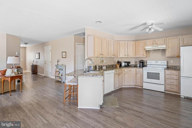 kitchen featuring under cabinet range hood, white appliances, light brown cabinetry, and a sink