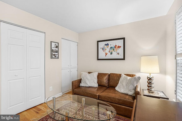 living room with light wood-type flooring