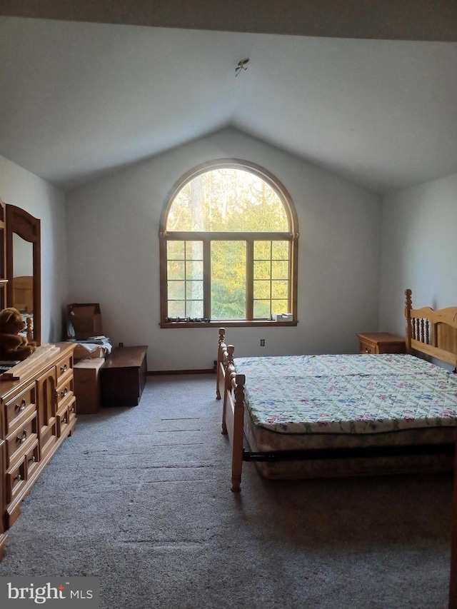 bedroom featuring vaulted ceiling and carpet flooring