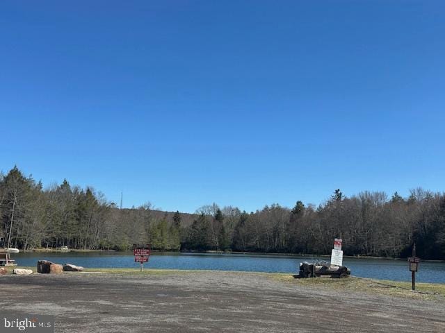73 Driftwood Dr, Albrightsville, PA 18210 - property view of water with a forest view