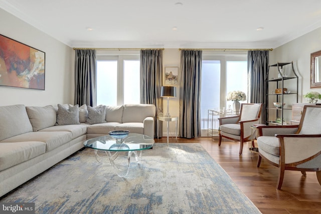 living area featuring crown molding and wood finished floors