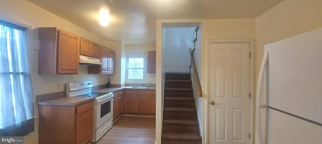 kitchen with light wood-style flooring, white appliances, a sink, and under cabinet range hood