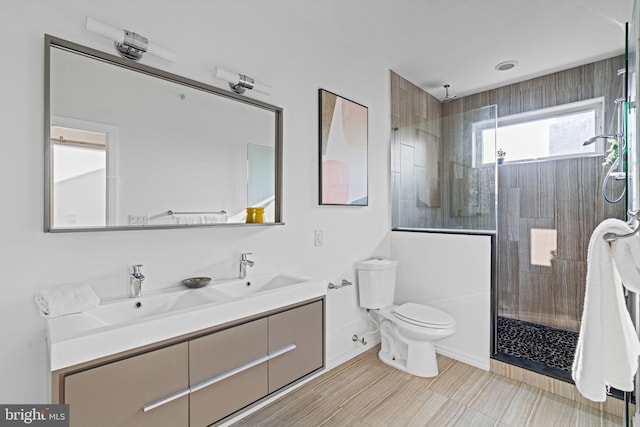 bathroom featuring a sink, double vanity, walk in shower, and toilet