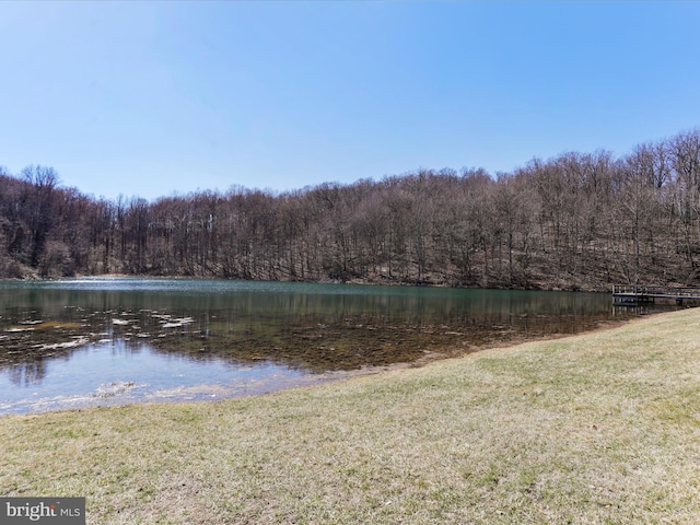 property view of water featuring a view of trees