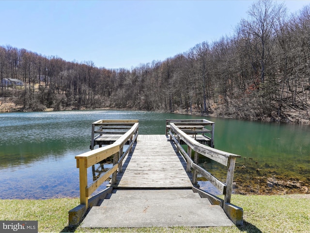 dock area with a water view and a wooded view