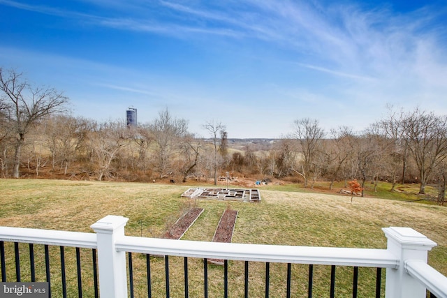 view of yard with a vegetable garden