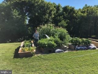 view of property's community featuring a lawn and a vegetable garden