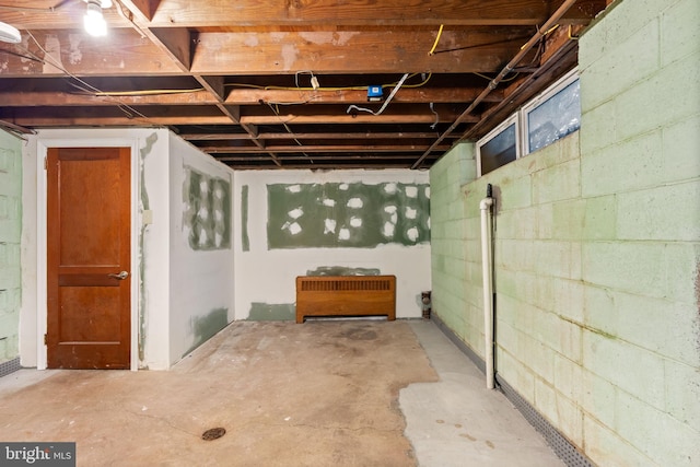 unfinished basement with concrete block wall