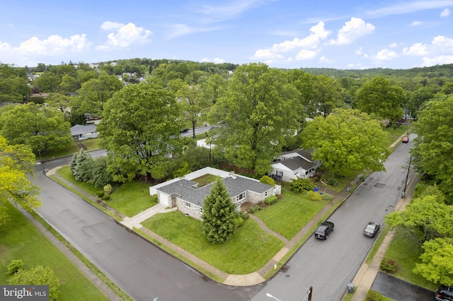 drone / aerial view