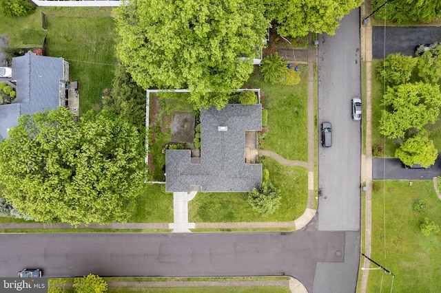 drone / aerial view