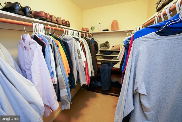 spacious closet featuring carpet