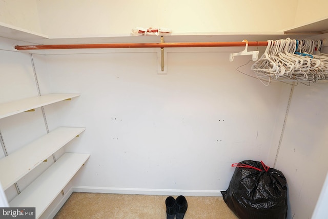 spacious closet featuring light carpet