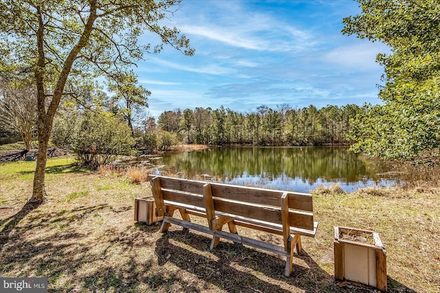 view of dock featuring a view of trees and a water view