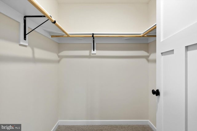 walk in closet featuring carpet