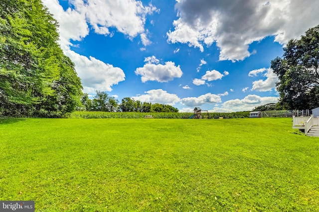 view of yard with a rural view