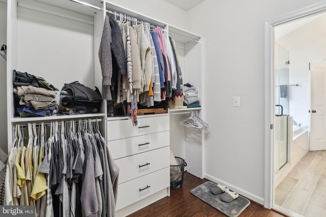 spacious closet with wood finished floors