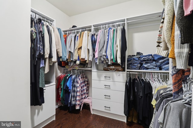 walk in closet with dark wood finished floors