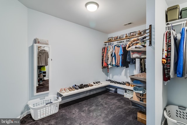 spacious closet with carpet flooring and visible vents