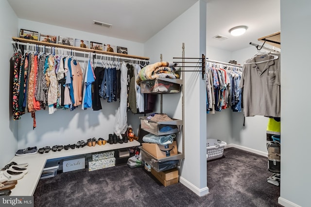 spacious closet featuring carpet flooring and visible vents