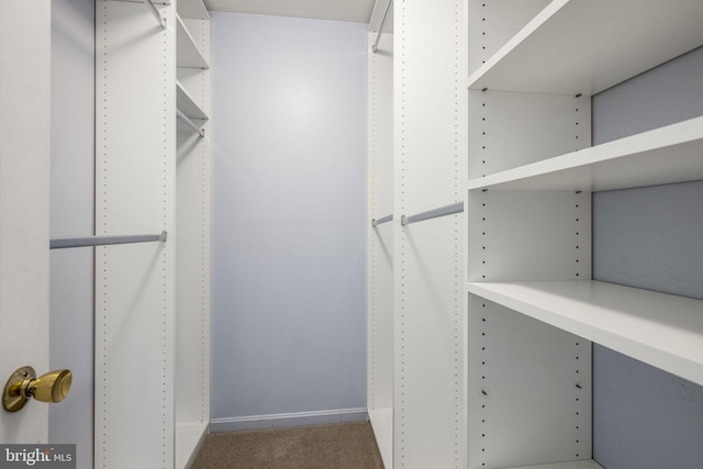 spacious closet featuring carpet floors