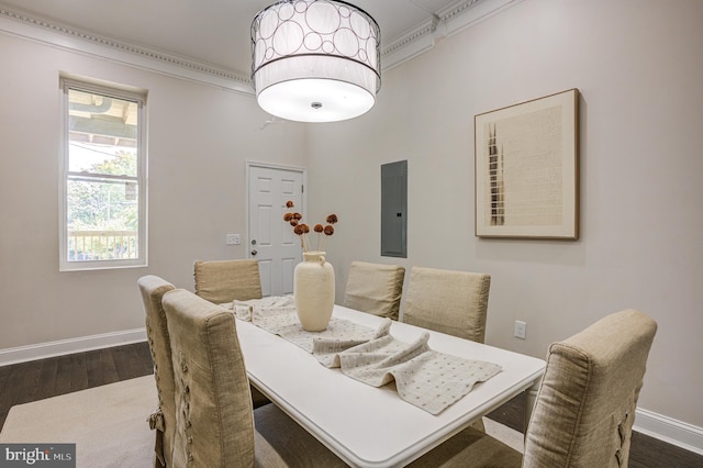 dining area with dark wood finished floors, electric panel, and baseboards