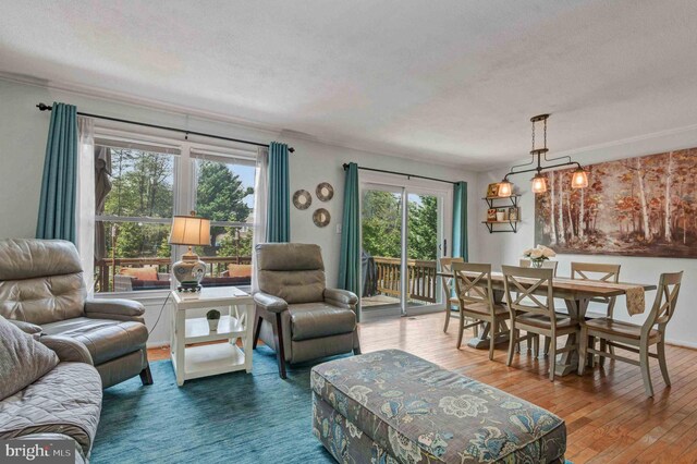 living area featuring a textured ceiling and hardwood / wood-style flooring