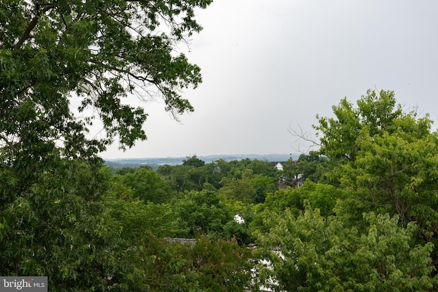 view of landscape