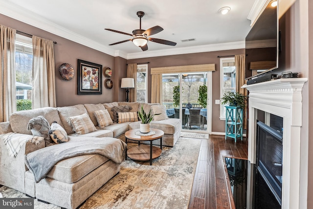 living room featuring visible vents, crown molding, a glass covered fireplace, a ceiling fan, and dark wood-style flooring