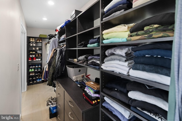 view of spacious closet