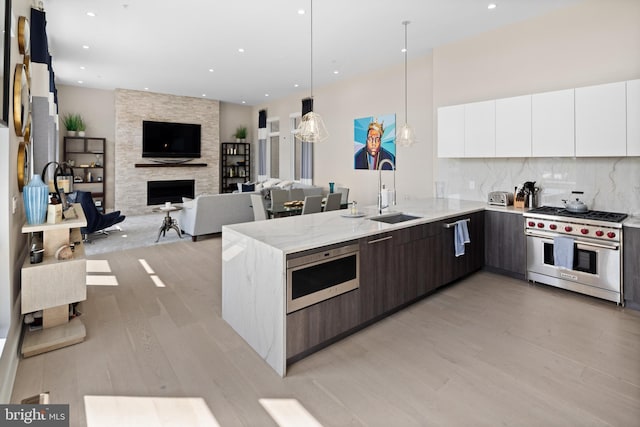 kitchen with a fireplace, stainless steel appliances, modern cabinets, and a sink