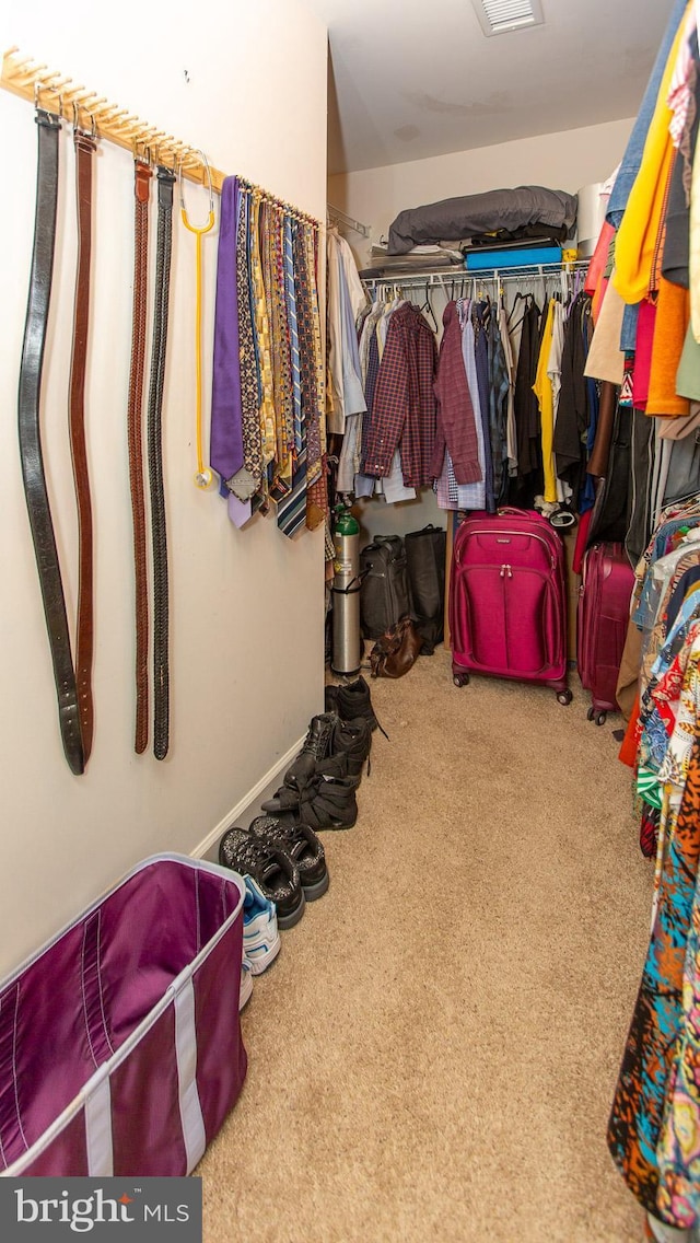 walk in closet with carpet flooring