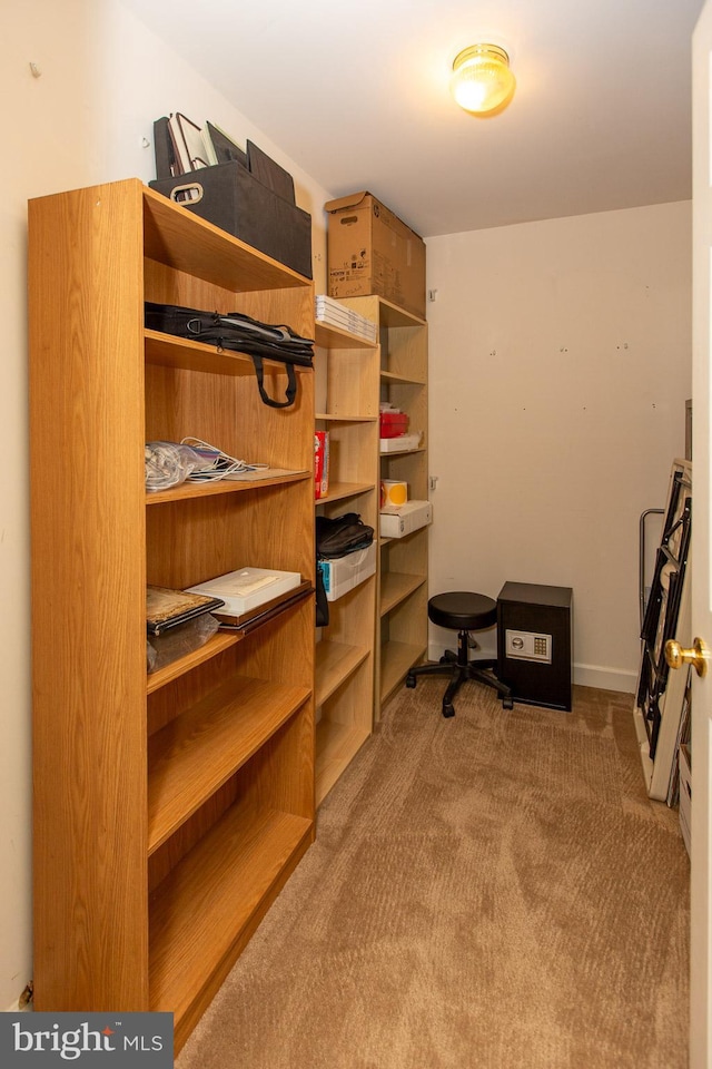 walk in closet with carpet floors