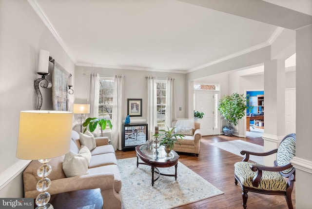 living room with crown molding and hardwood / wood-style floors