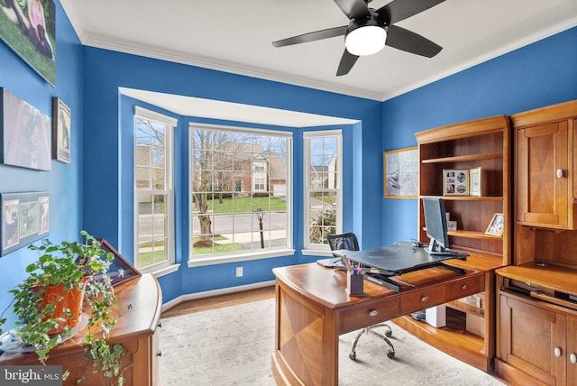 office area with ornamental molding, light wood-style flooring, baseboards, and a ceiling fan