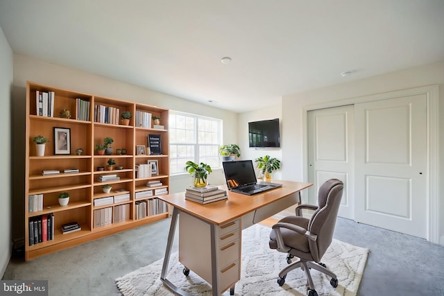 305 Poplar Ave, Newark, DE 19711 - home office with light carpet