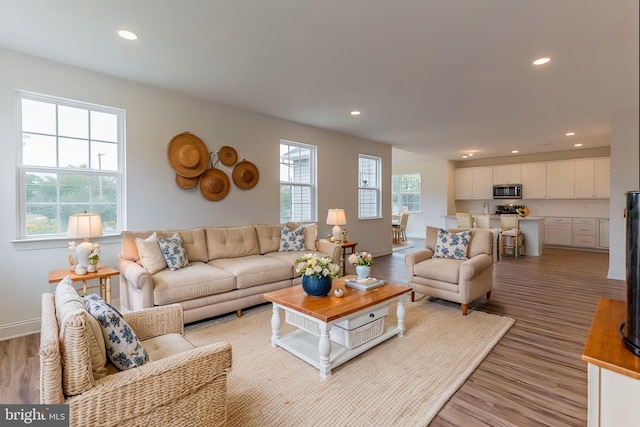 305 Poplar Ave, Newark, DE 19711 - living area with light wood-style floors, baseboards, and recessed lighting