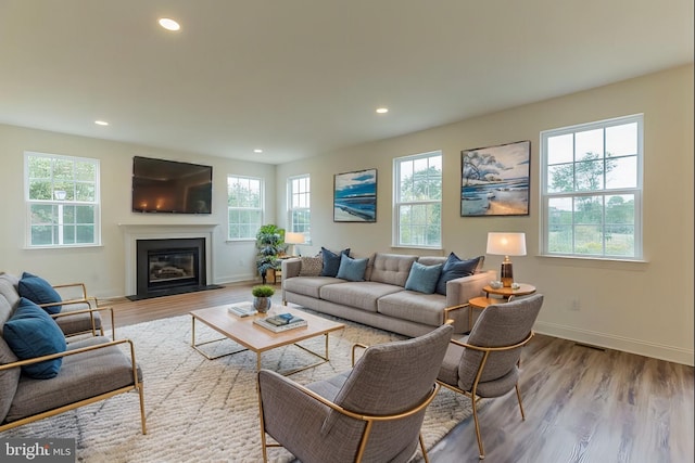305 Poplar Ave, Newark, DE 19711 - living area featuring a fireplace with flush hearth, baseboards, wood finished floors, and recessed lighting