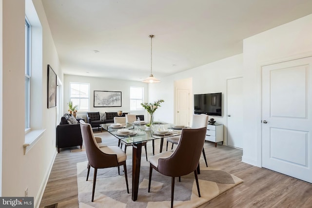 305 Poplar Ave, Newark, DE 19711 - dining space with light wood-type flooring and baseboards
