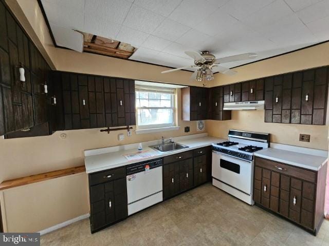 kitchen with white appliances, ceiling fan, light countertops, under cabinet range hood, and a sink