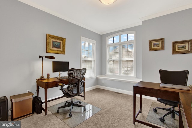 office space with baseboards, carpet flooring, visible vents, and crown molding