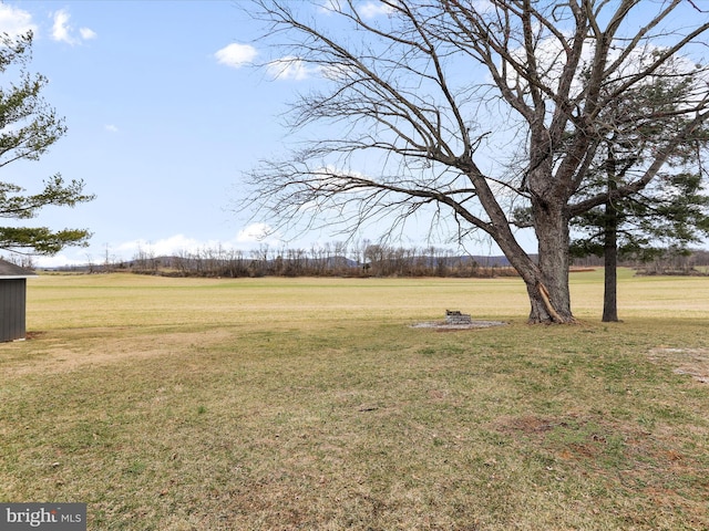 view of yard