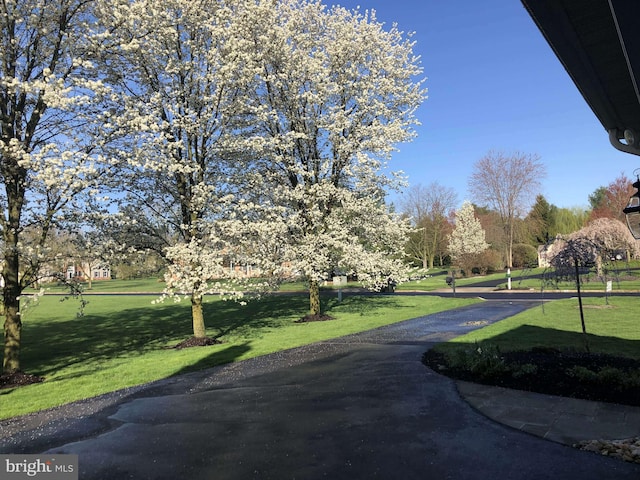 view of community featuring a yard