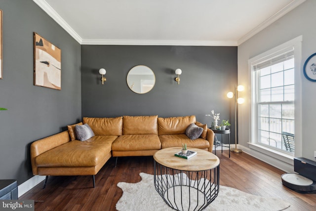 living area featuring baseboards, hardwood / wood-style floors, and ornamental molding